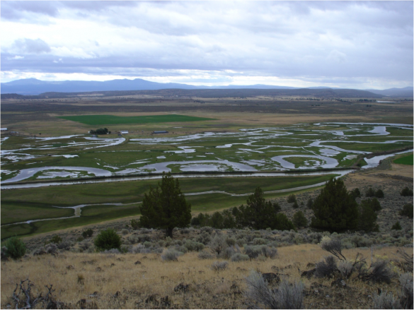 The Carey Ranch floodplain pastures and wetlands have been maintained through reconstruction of key infrastructure in 2009 and 2010, Credit: IWJV