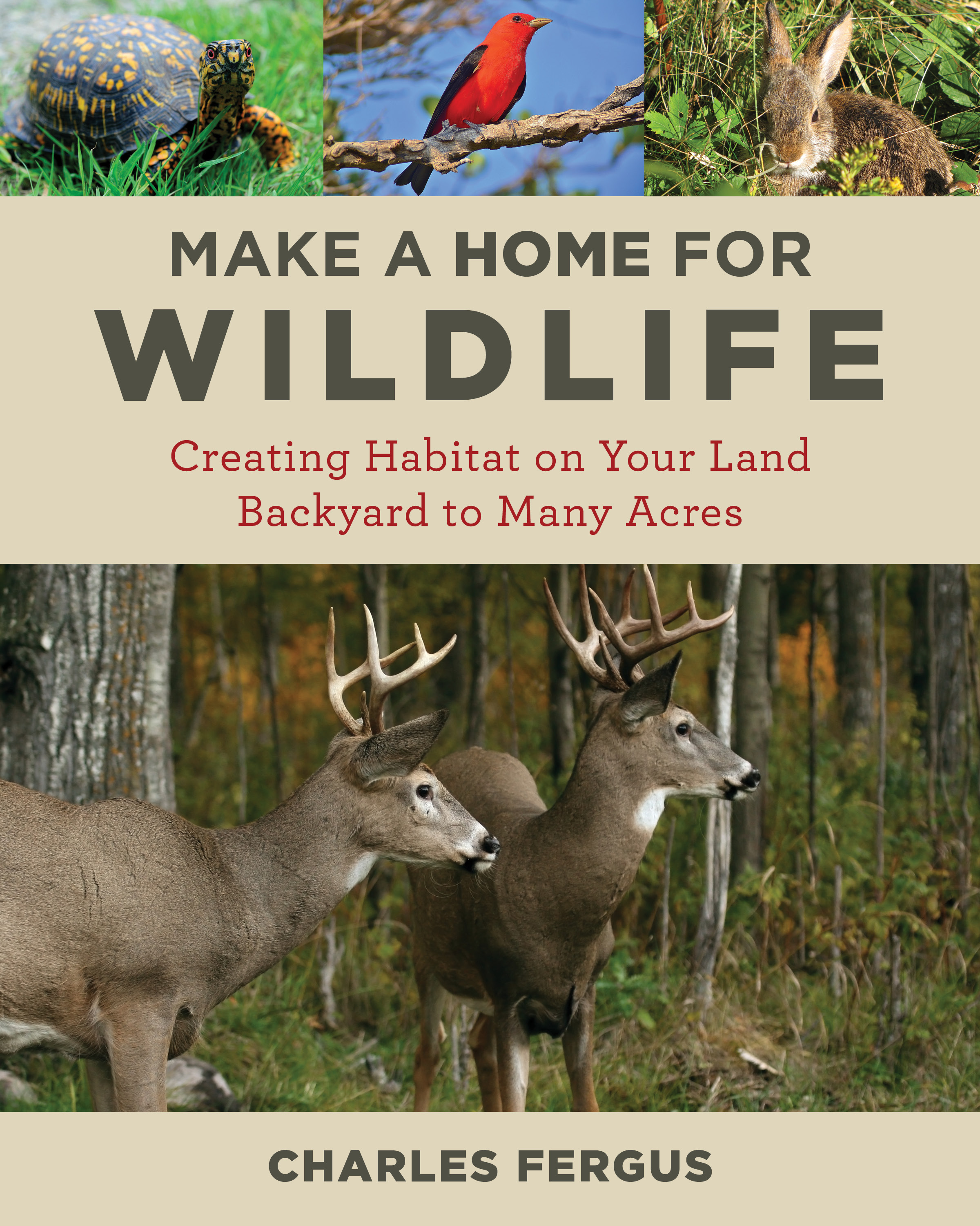 Make a Home for Wildlife by Charles Fergus | Wildlife Management Institute