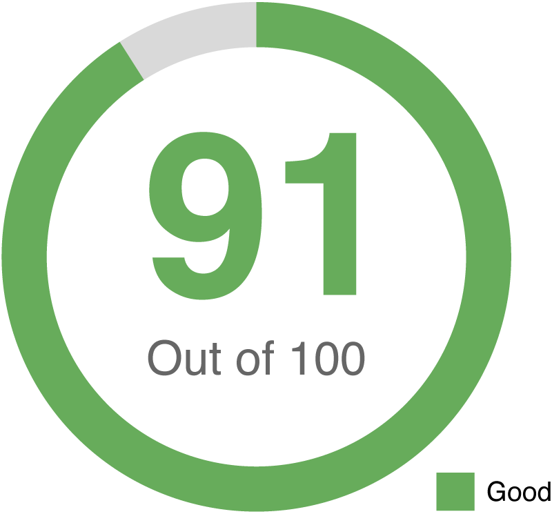 Graph circle with 91 percent of circle in green that says 91 out of 100