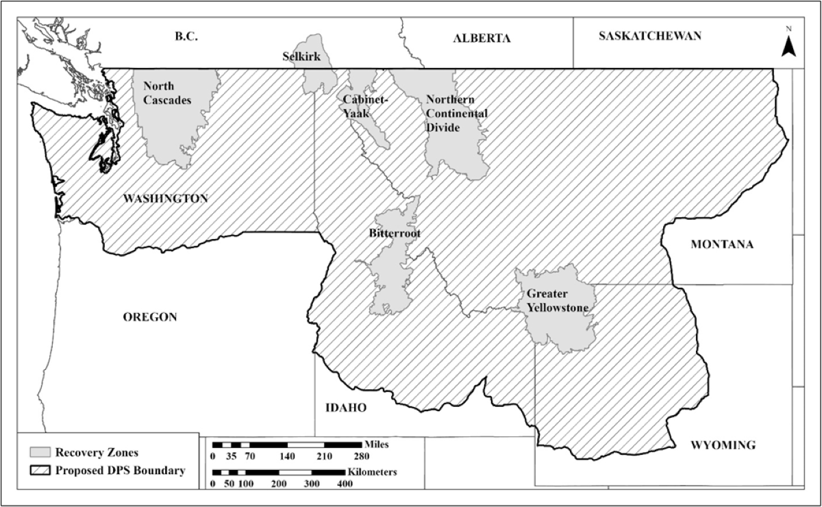 Proposed lower 48 grizzly bear DPS boundary, overlaid with current recovery zones. Credit: U.S. Fish and Wildlife Service, Public Domain