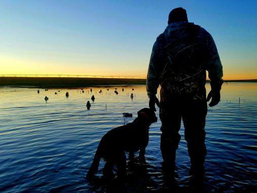 Hunter and Dog: Source: R3 Clearinghouse, Pheasants Forever, PheasantsForever_C (33), 11 October 2018, 