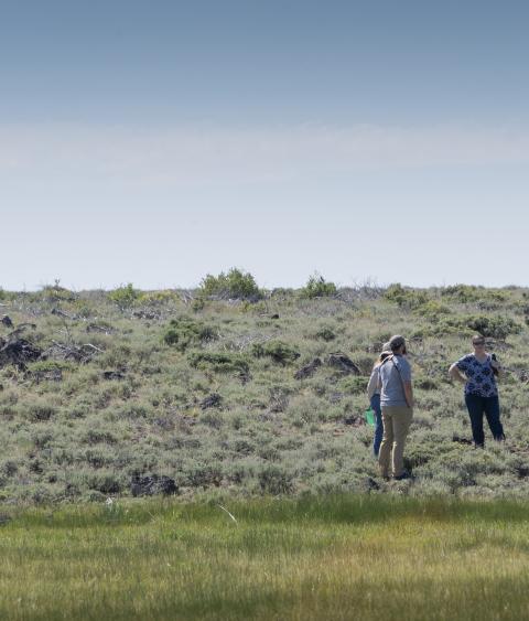 Sagebrush habitat in Warner Mountains, Oregon