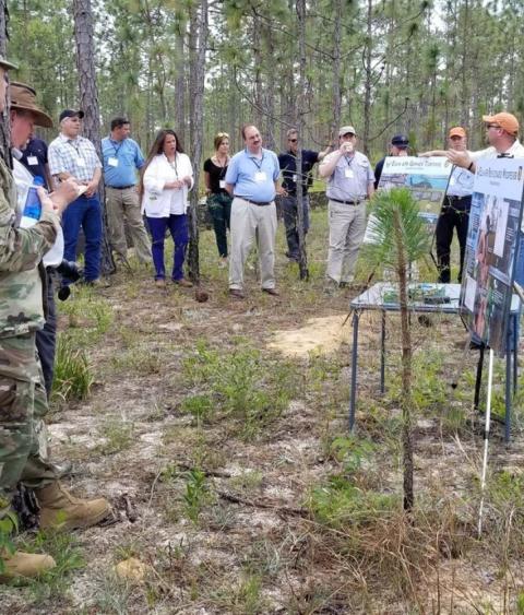 Collaborative Conservation at Eglin Airforce Base in Florida 
