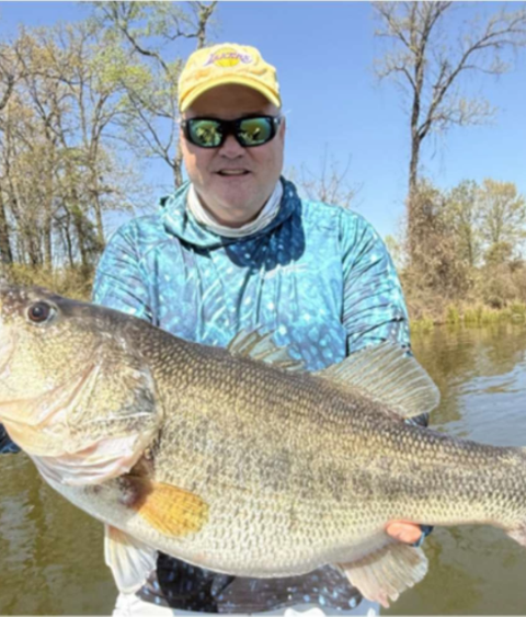 Lunker bass