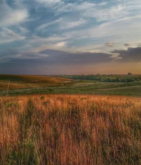 Midwestern landscape