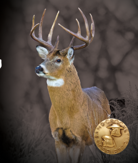 Poach and Pay Project Findings Graphic with Deer