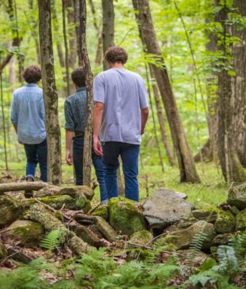Three young men walking in nature