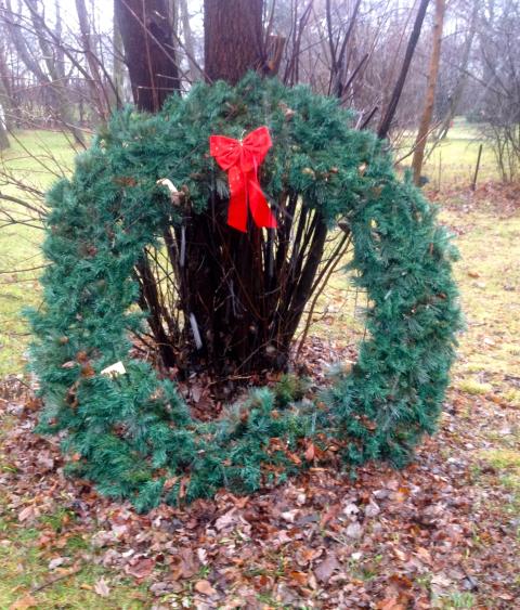 Holiday wreath in nature