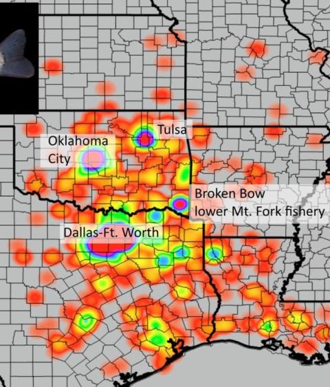 Kernel density map of anglers who fished at the lower Mountain Fork River (LMFR) trout fishery in southeast Oklahoma