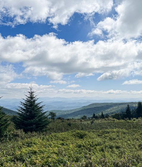 Appalachian Trail near Mt Rogers, Virginia