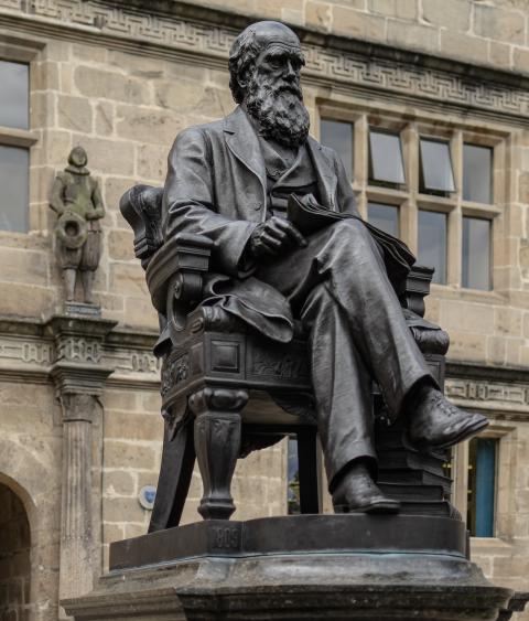 Statue of Charles Darwin