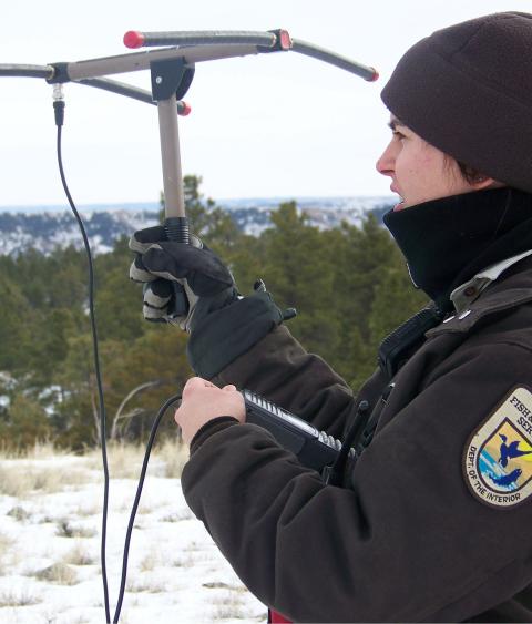 A USFWS Biologist holding telemetry antenna