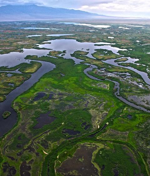 Aerial view of Paradise Wetlands on the edge of Black water Lake near the Khovd Aimag center in Western Mongolia.