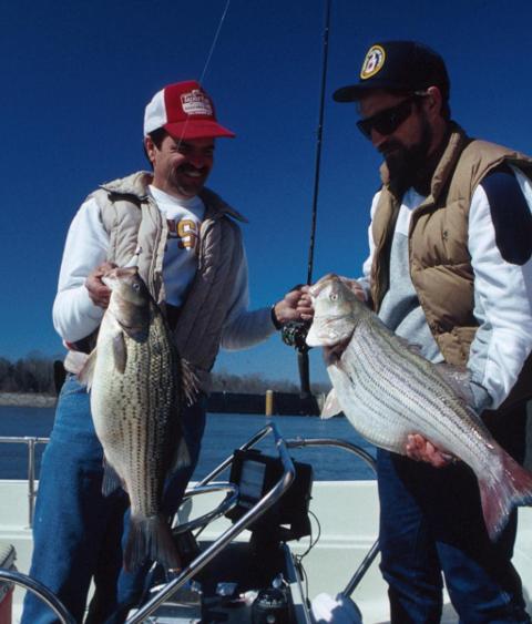 Fishing trip