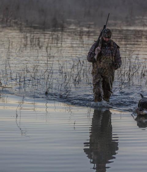Hunter and dog