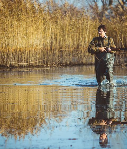 Duck hunter and dog