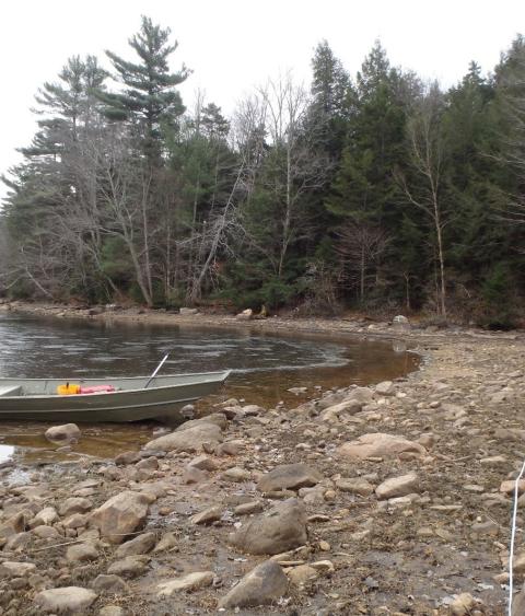 Mussel survey 