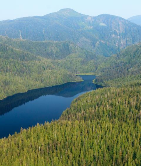 Tongass National Forest