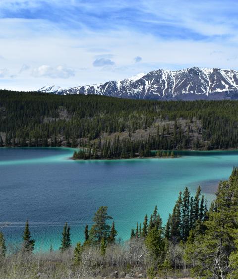 Yukon Territory Landscape