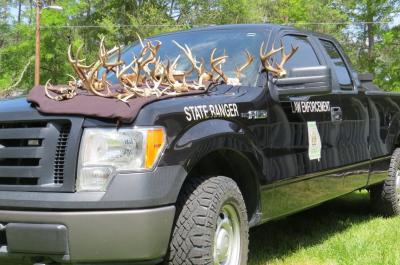 Antlers confiscated from a poaching bust