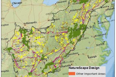 NatureScape Map