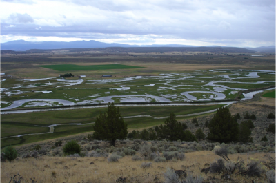 The Carey Ranch floodplain pastures and wetlands have been maintained through reconstruction of key infrastructure in 2009 and 2010, Credit: IWJV