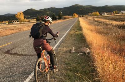 Cyclist documenting deer roadkill