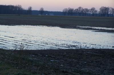 Flooded farm field