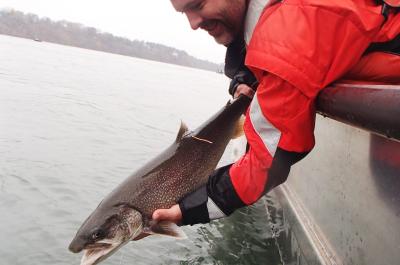 USFWS conducting lake trout research