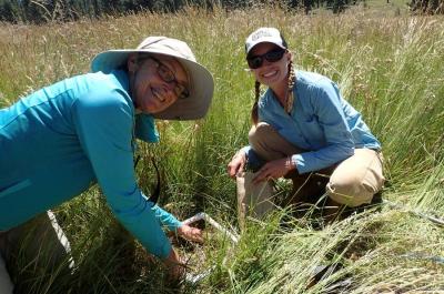University of Nevada, Reno students conduct field tests of native plants for restoration in cheatgrass-invaded rangelands