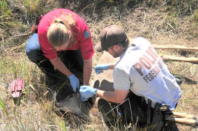 Investigation of a mule deer poaching incident