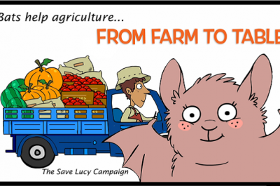 Save Lucy Campaign Banner Image