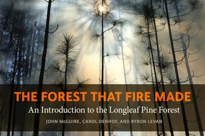 The Forest That Fire Made book cover