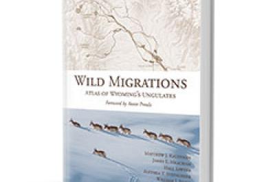 Wild Migrations Book Cover