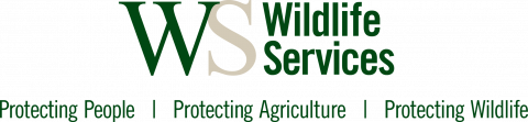 Wildlife Services Logo