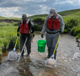Graduate students at the Nebraska Cooperative Fish and Wildlife Research Unit are electrofishing on Deer Creek, Nebraska