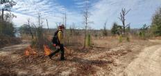 Prescribed burn at a working forest