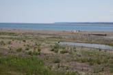 Gull Point beach habitat