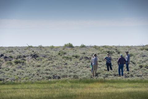 Sagebrush habitat in Warner Mountains, Oregon
