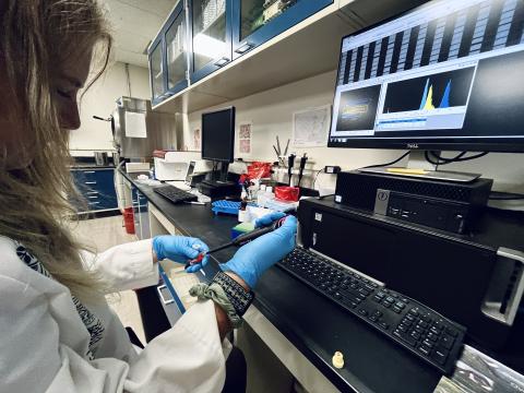 USFWS Biologist preparing sample ploidy analysis