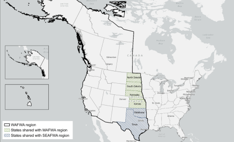 WAFWA Map