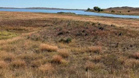 Western grasslands