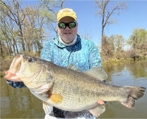 Lunker bass