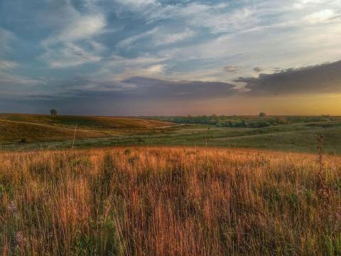 Neal Smith Wildlife Refuge