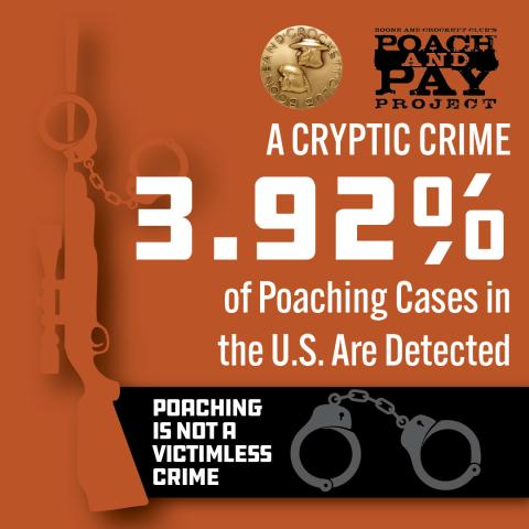 Cryptic Crime graphic