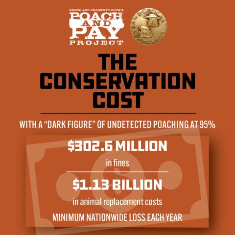 Undetected Poaching graphic