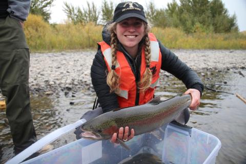 Steelhead researcher and fish