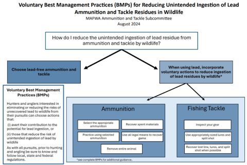 Flowchart for reducing unintended lead ingestion