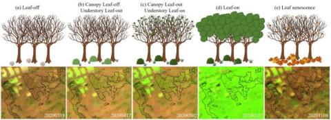 Canopy progress infographic