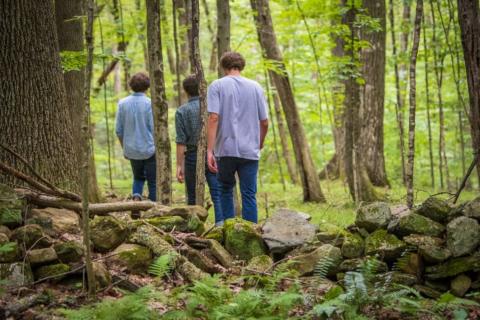 Three young men walking in nature